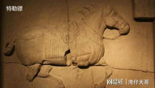 IM电竞 IM电竞app因为有“发票”所以不是盗取？昭陵二骏流失海外到底谁之错……(图8)