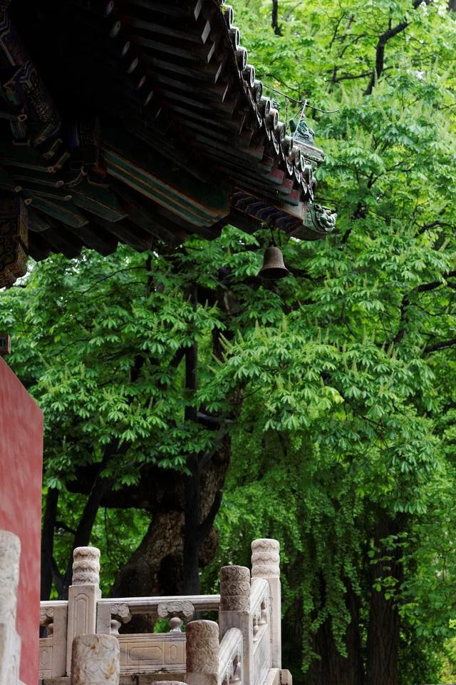 IM电竞 电子竞技平台“京西小故宫”修缮重开！古寺寻幽、山林品茶北京最美秋天在这(图1)