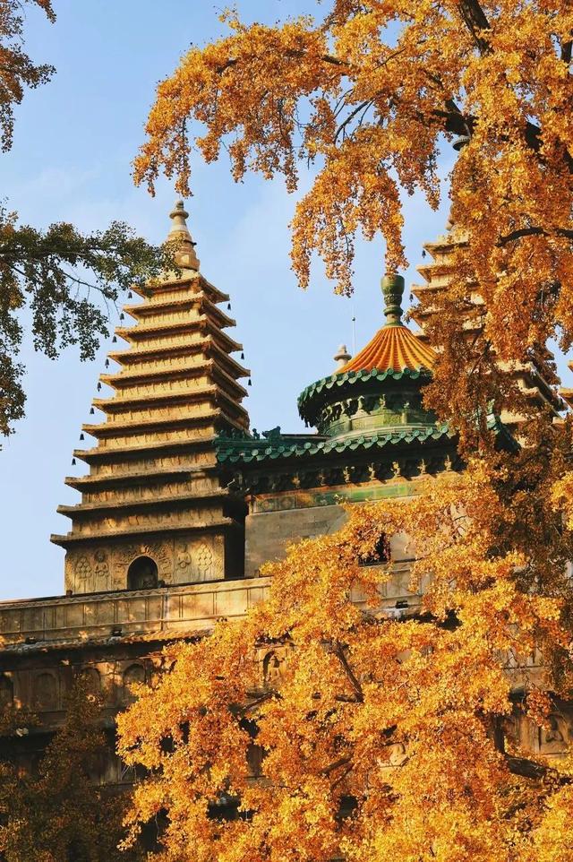 IM电竞 电子竞技平台“京西小故宫”修缮重开！古寺寻幽、山林品茶北京最美秋天在这(图7)