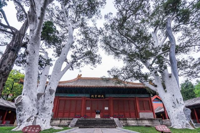 IM电竞 电子竞技平台“京西小故宫”修缮重开！古寺寻幽、山林品茶北京最美秋天在这(图16)