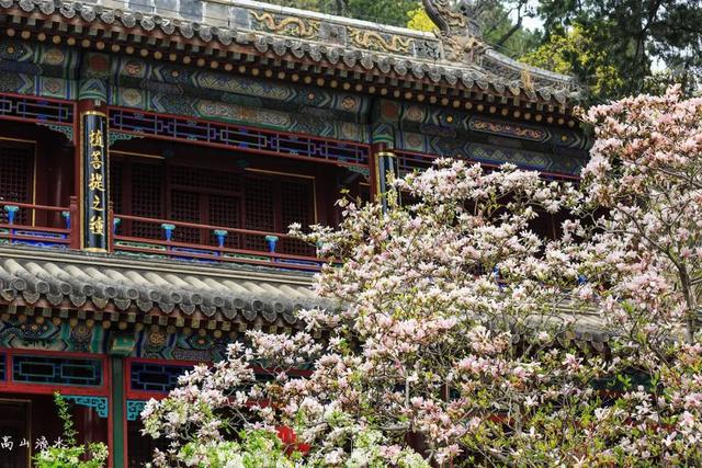 IM电竞 电子竞技平台“京西小故宫”修缮重开！古寺寻幽、山林品茶北京最美秋天在这(图21)