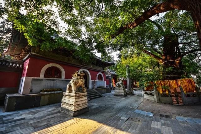 IM电竞 电子竞技平台“京西小故宫”修缮重开！古寺寻幽、山林品茶北京最美秋天在这(图26)