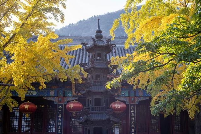 IM电竞 电子竞技平台“京西小故宫”修缮重开！古寺寻幽、山林品茶北京最美秋天在这(图32)