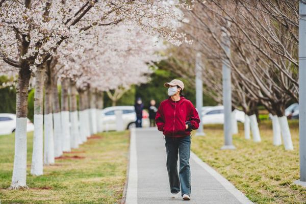 清明小长假去哪玩？滨城这些花海等您打卡IM电竞 电子竞技平台(图1)